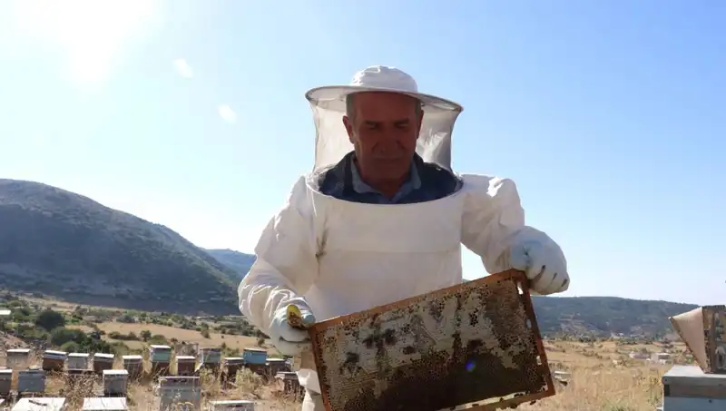 Mobilya İşini Bıraktı, 25 Yıl Sonra 2 Ton Ürün Üretti!