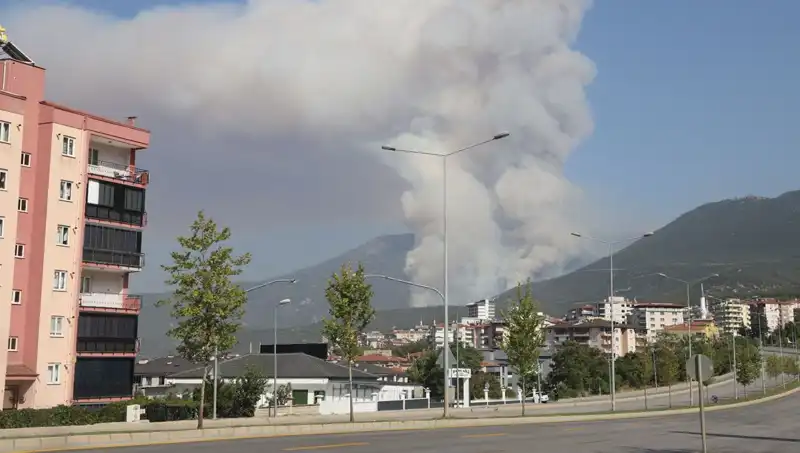 Denizli’deki Orman Yangını Sebebiyle Tek Şüpheli Gözaltına Alındı