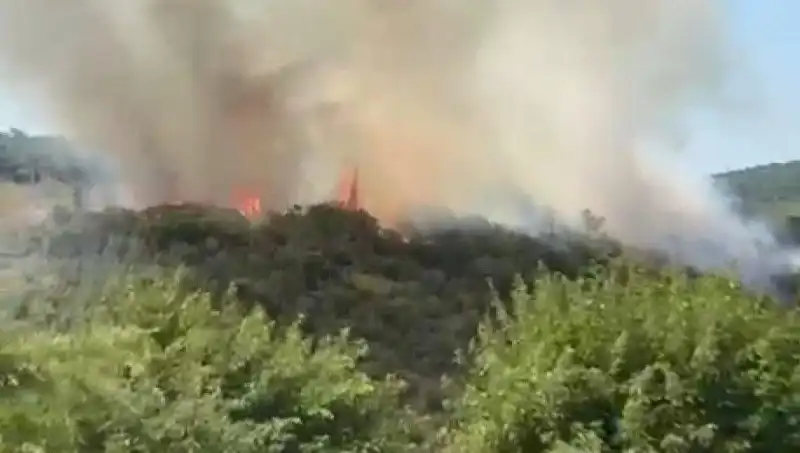 İstanbul'da Yangın Alarmı! Vatandaşlar Hızla Tahliye Ediliyor