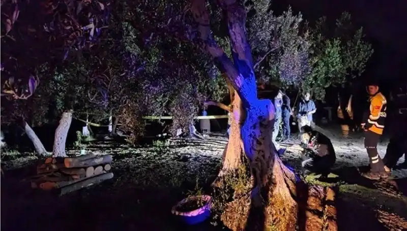 Çiftlikteki Baltalı Vahşete Şok Tutuklama Geldi!